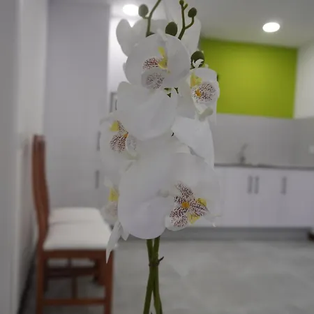 Lejlighed Sanin 3 Lumbrales