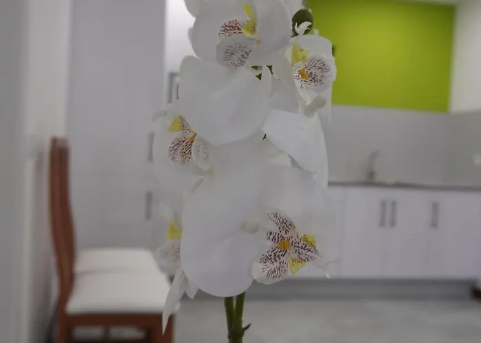 شقة Sanin 3 Lumbrales